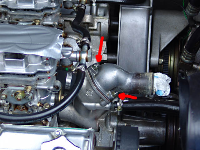 WP removal 011_sm.jpg